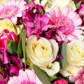 Růžový, fialový a bílý mix květin